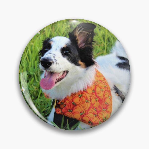 Item preview, Skipper Sporting Pumpkin Bandana designed and sold by banditandkoko.