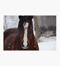 A Meeting at Eden Photographic Print