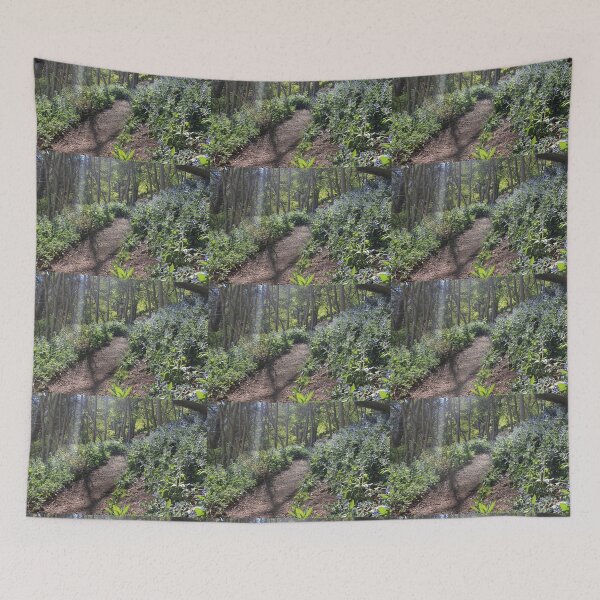 Item preview, Pathway through the flowers designed and sold by dredfell.