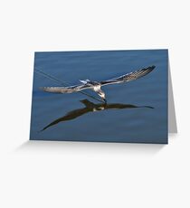 Skimming Along Greeting Card