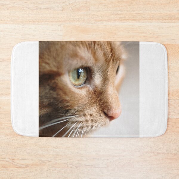 Item preview, Ginger cat designed and sold by MarioGuti.