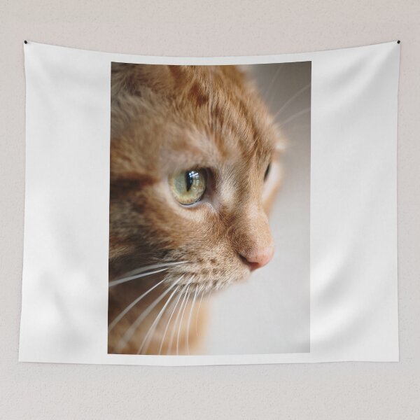 Item preview, Ginger cat designed and sold by MarioGuti.
