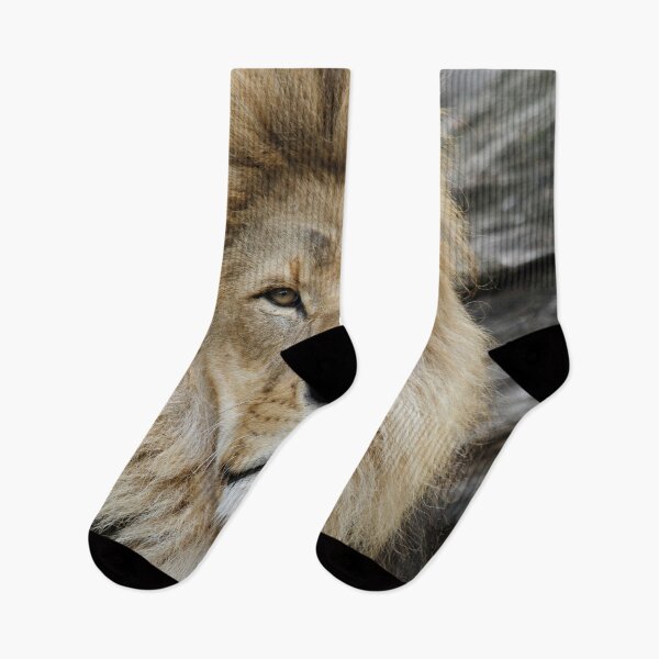 Item preview, Lion 042 designed and sold by JAMFoto.