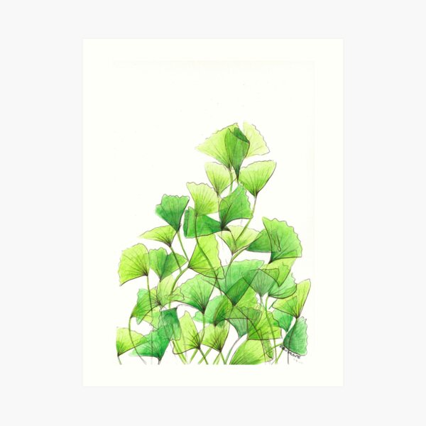 The Neighborhood Ginko Tree Art Print