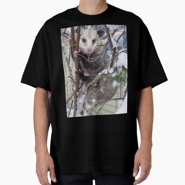 Aperçu de l'œuvre Opossum créée et vendue par StevenRalserPhoto.