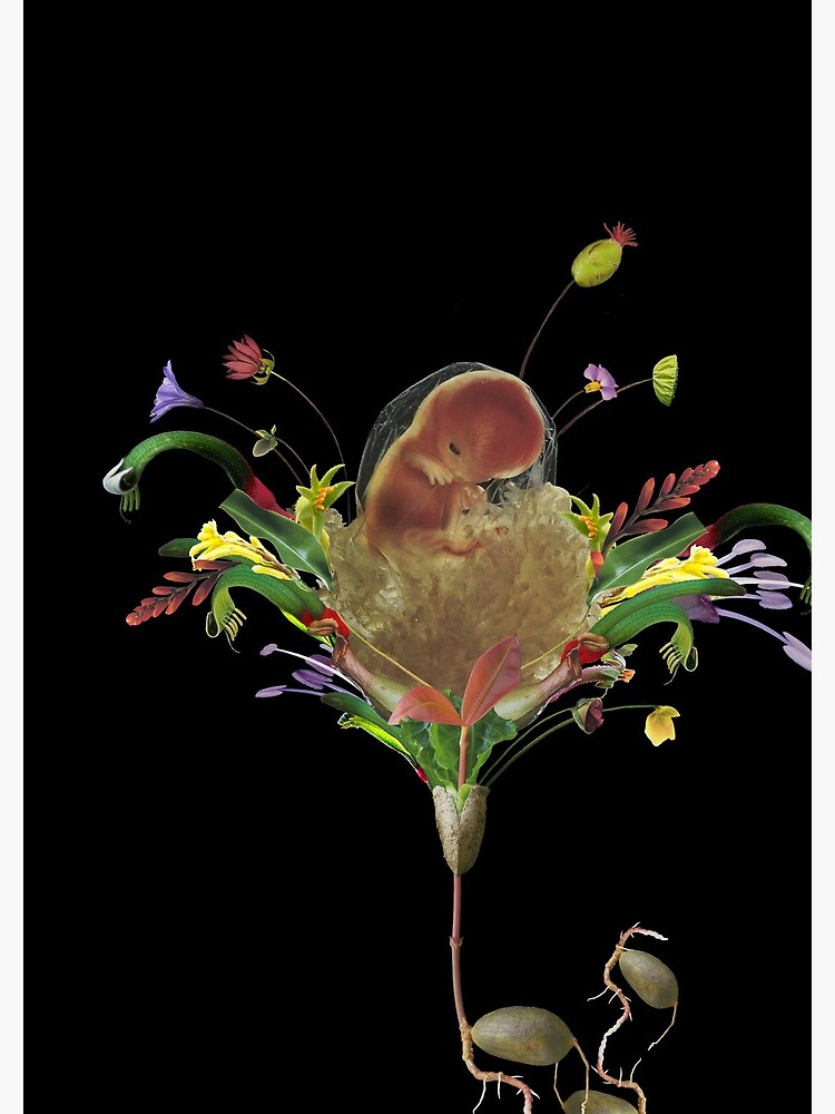 A New Birth - collage art, flower, nature, woman, man by ilariaantolini