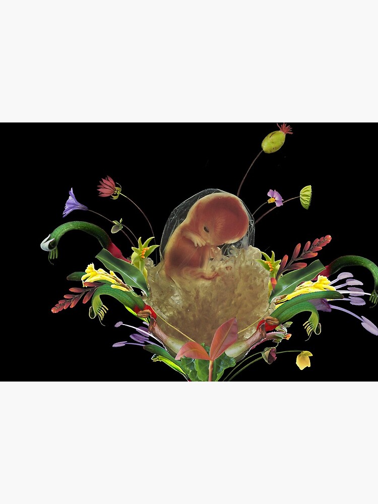 A New Birth - collage art, flower, nature, woman, man by ilariaantolini