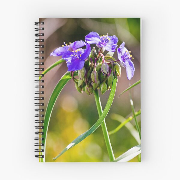 Item preview, Spiderwort designed and sold by StevenRalserPhoto.