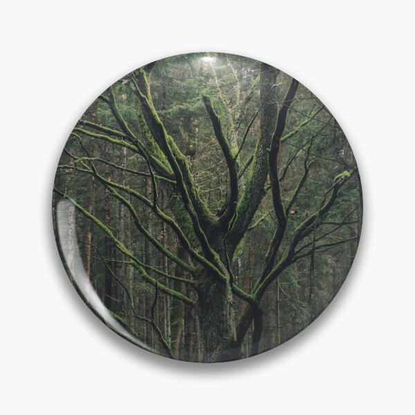 Item preview, Old oak designed and sold by urbonasphotos.