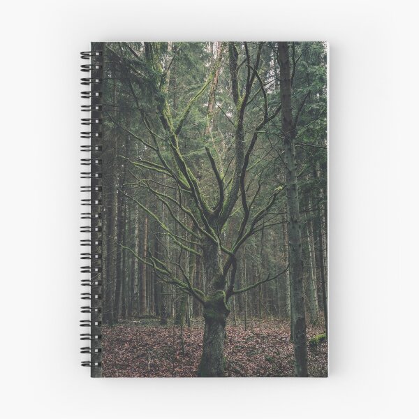 Item preview, Old oak designed and sold by urbonasphotos.