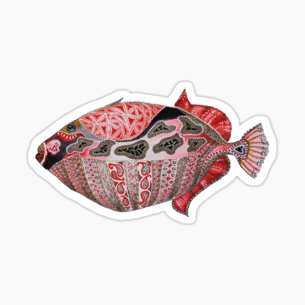 Gunther” Batik Clown Triggerfish