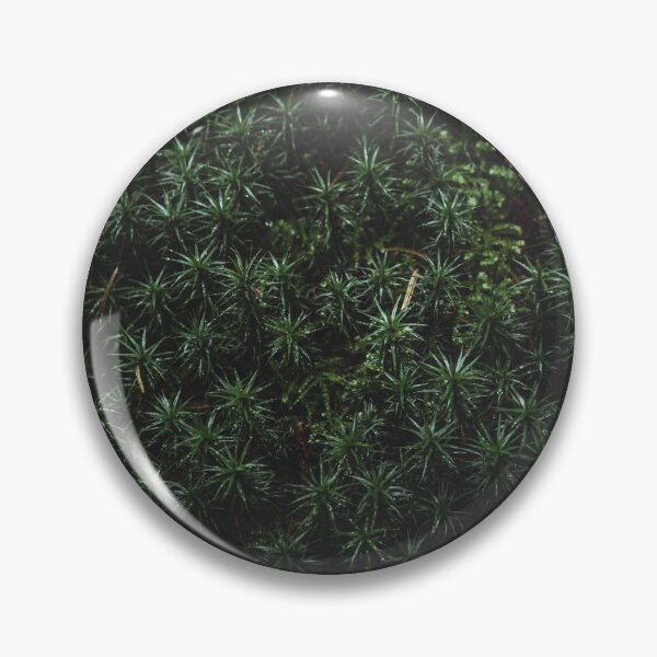 Item preview, Forest floor designed and sold by urbonasphotos.
