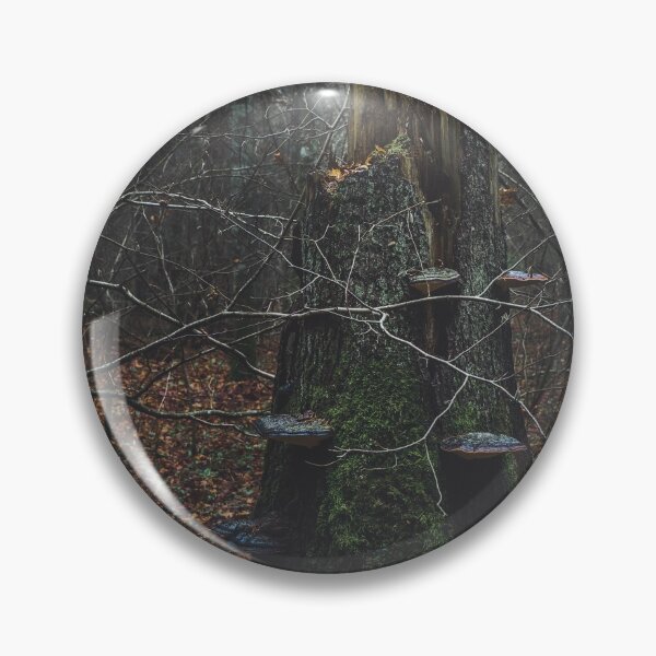 Item preview, Old stump designed and sold by urbonasphotos.