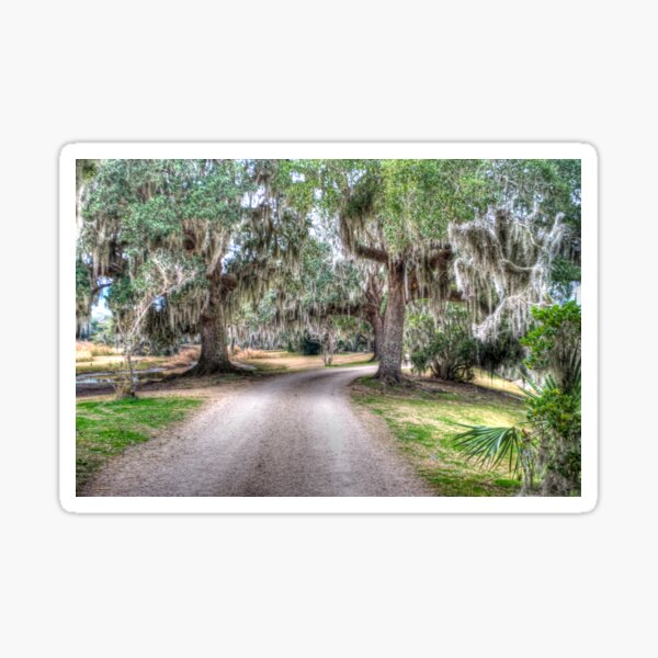 Item preview, Avery Island Road designed and sold by Diego Re.