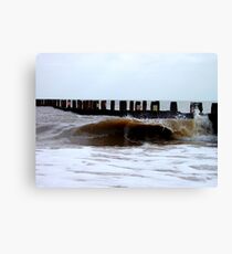 The Egotistical Wave! Canvas Print