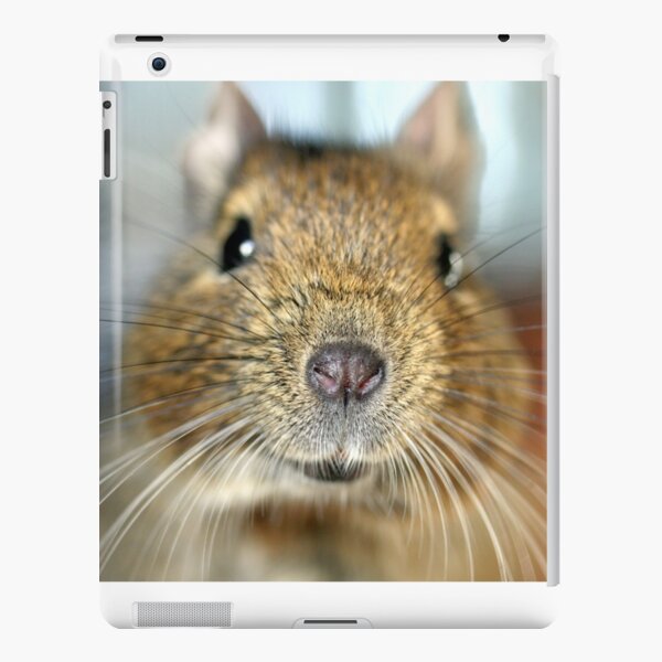 Cute Rat Accessories Redbubble - rat nose roblox