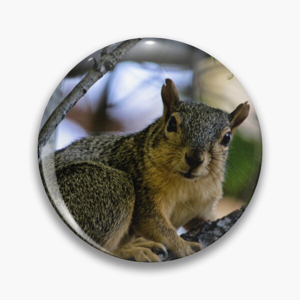 Item preview, Gray Squirrel  designed and sold by MoreGoodArt.