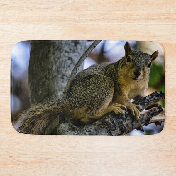 Item preview, Gray Squirrel  designed and sold by MoreGoodArt.