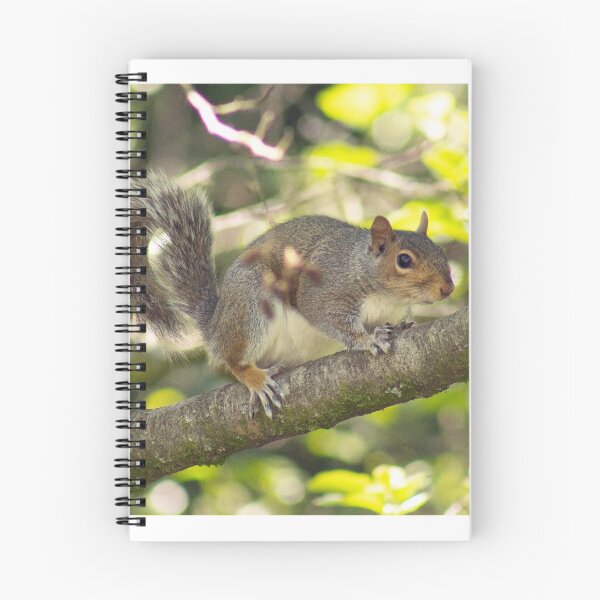 Item preview, Grey Squirrel designed and sold by ellenmpics.