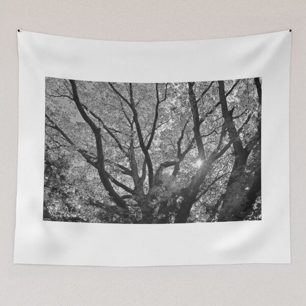 Item preview, Natures Lungs Black And White designed and sold by LisaWootenPhoto.