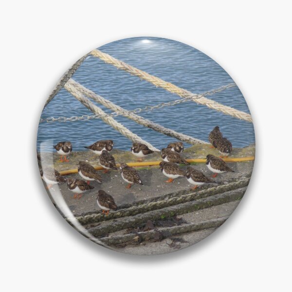 Item preview, Turnstones designed and sold by EMStanton-Photo.