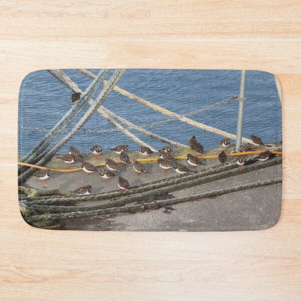 Item preview, Turnstones designed and sold by EMStanton-Photo.