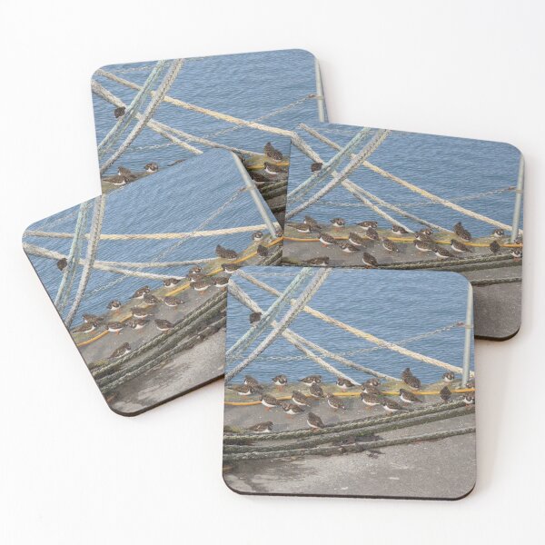 Item preview, Turnstones designed and sold by EMStanton-Photo.