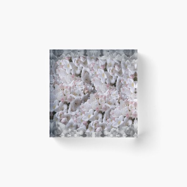 All I need is flowers Acrylic Block