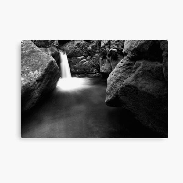 "Monkey Face" Canvas Print