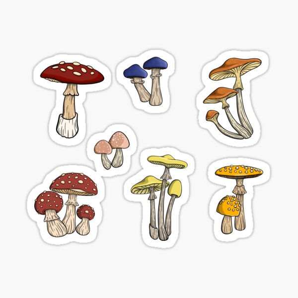 Scream Print Shop Stickers- Mushroom Apothecary – Odds And Ends Emporium COS