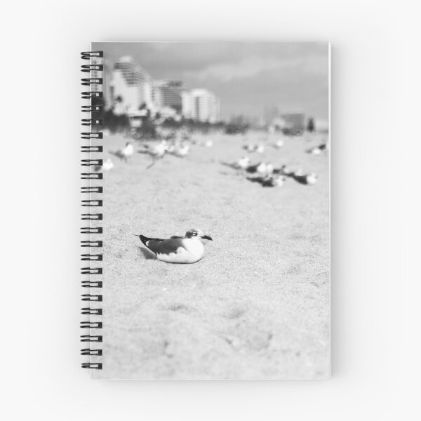 Item preview, Basking Seagulls designed and sold by Susan Link.