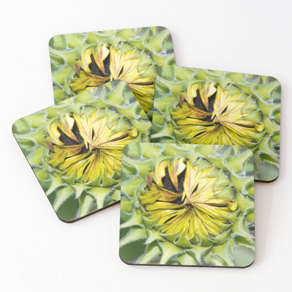 Item preview, Carefully wrapped designed and sold by Latch Farm  Studios.