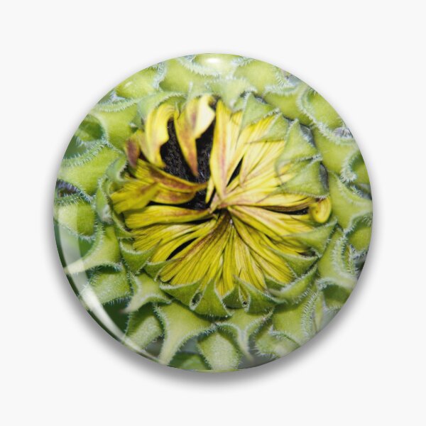Item preview, Carefully wrapped designed and sold by Latch Farm  Studios.