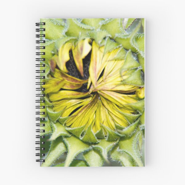 Item preview, Carefully wrapped designed and sold by Latch Farm  Studios.