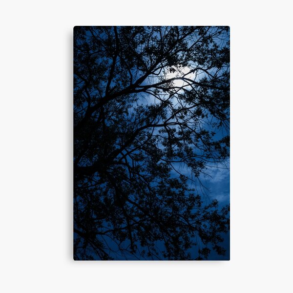 Blue Caress of Feel Canvas Print