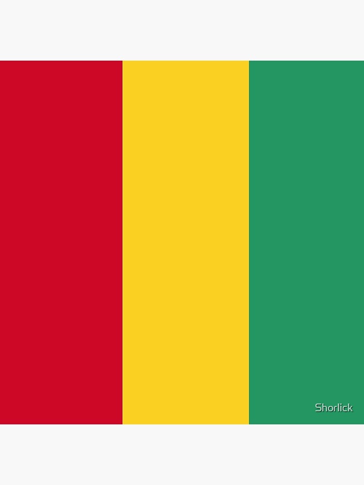 Aperçu 3 sur 3. Coussin avec l'œuvre Drapeau de la Guinée créée et vendue par Shorlick.