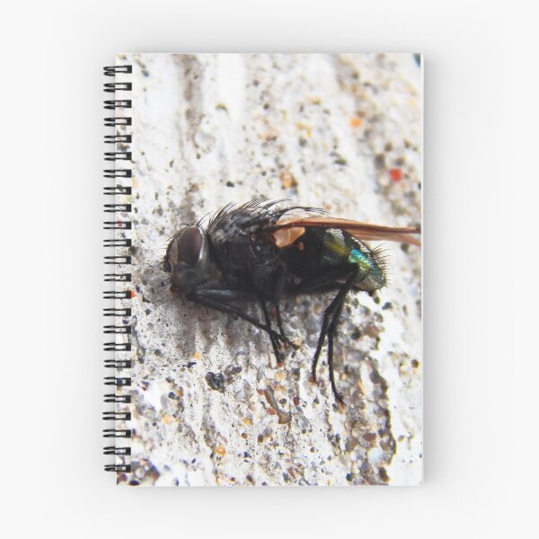 Item preview, The Fly (8855) designed and sold by sensameleon.