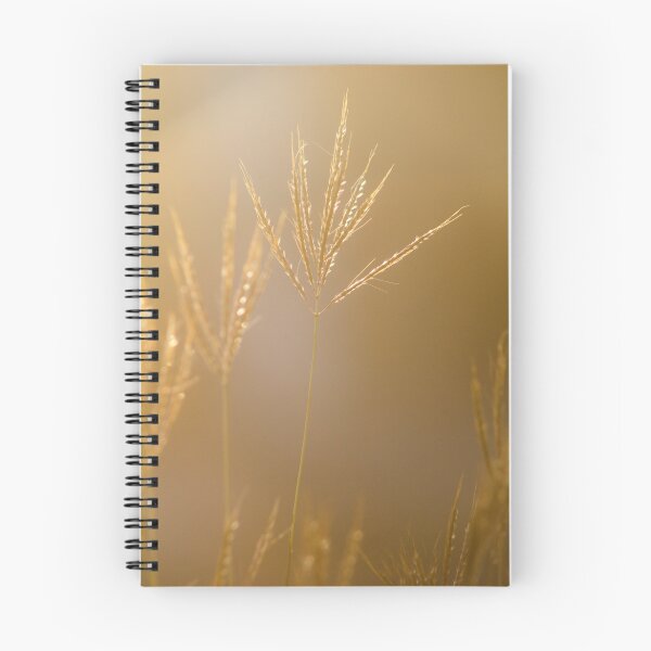 Item preview, Pure Radiance designed and sold by Mario Morales Rubi.