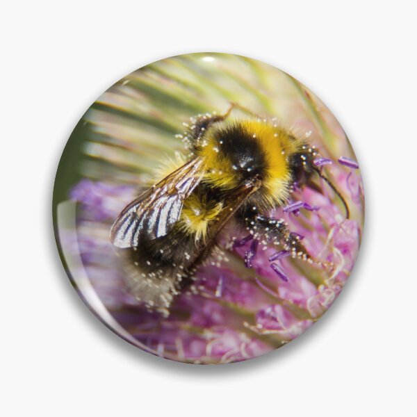 Item preview, Bumble bee and pollen - The teasel pollen bar is open designed and sold by Latch Farm  Studios.