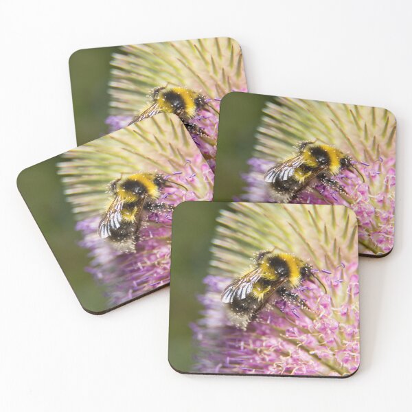 Item preview, Bumble bee and pollen - The teasel pollen bar is open designed and sold by Latch Farm  Studios.