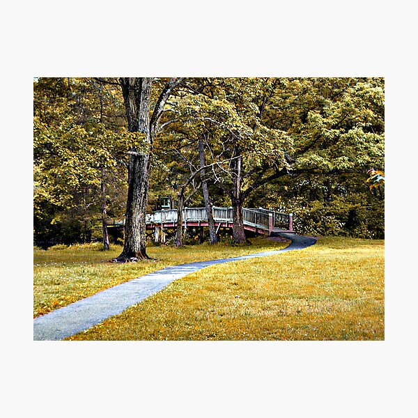 The Bridge Back Photographic Print
