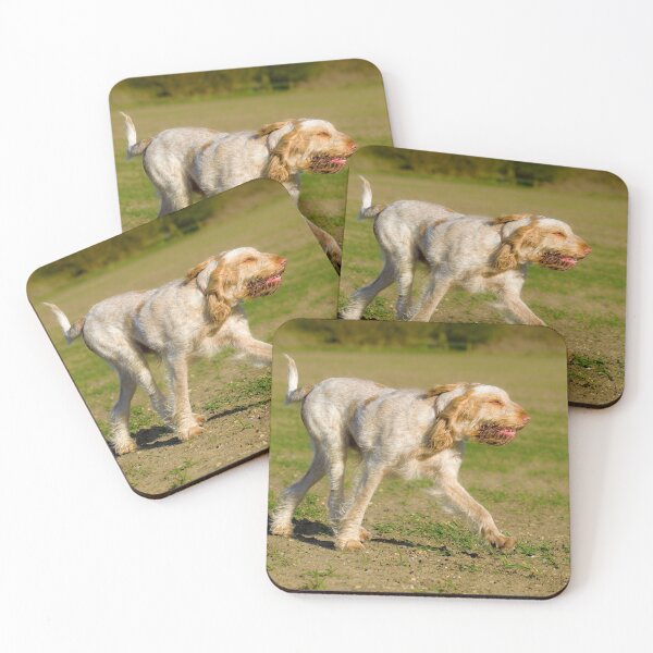 Item preview, Into the wind Spinone designed and sold by FOLK ART FUSION by heidiannemorris.