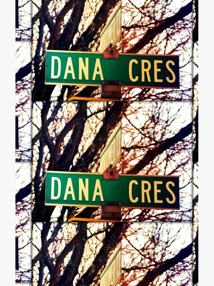 Dana, A gift for Dana, Dana street sign, Birthday gift for Dana by PicsByMi