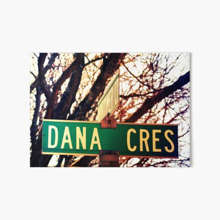 Dana, A gift for Dana, Dana street sign, Birthday gift for Dana Art Board Print