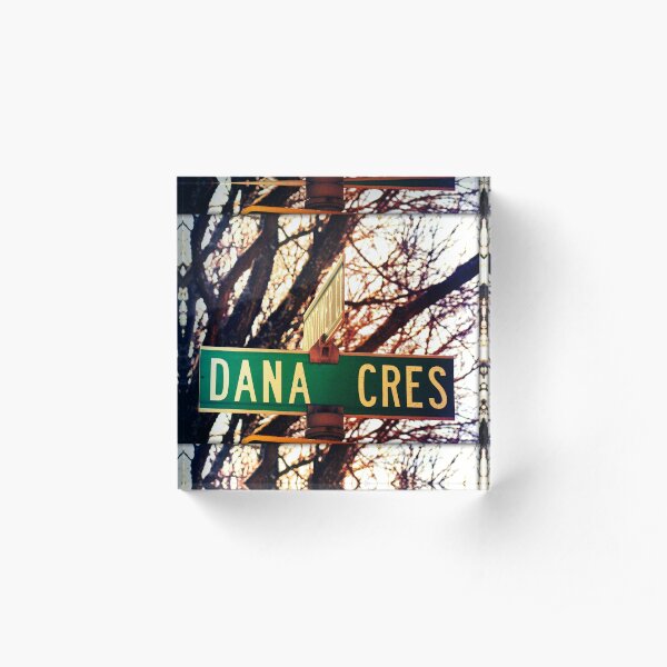 Dana, A gift for Dana, Dana street sign, Birthday gift for Dana Acrylic Block