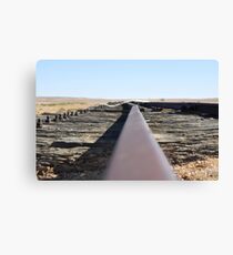 Old Ghan Canvas Print