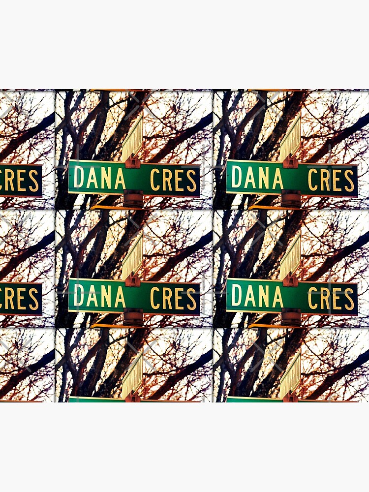Dana, A gift for Dana, Dana street sign, Birthday gift for Dana by PicsByMi