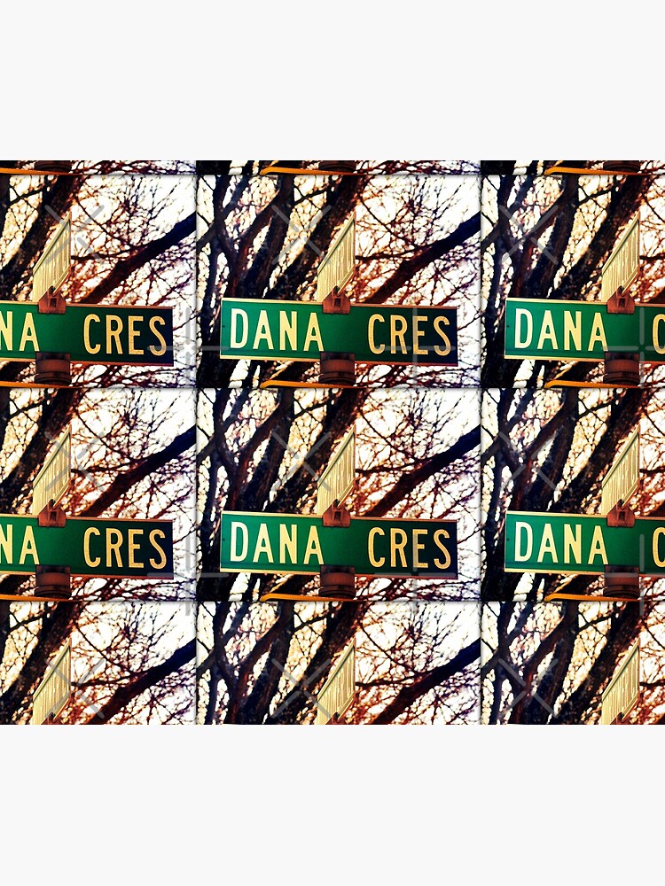 Dana, A gift for Dana, Dana street sign, Birthday gift for Dana by PicsByMi