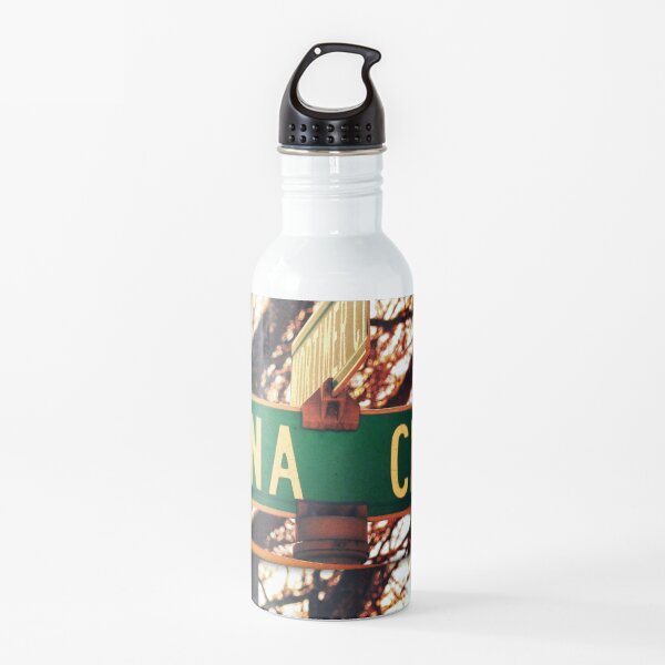 Dana, A gift for Dana, Dana street sign, Birthday gift for Dana Water Bottle