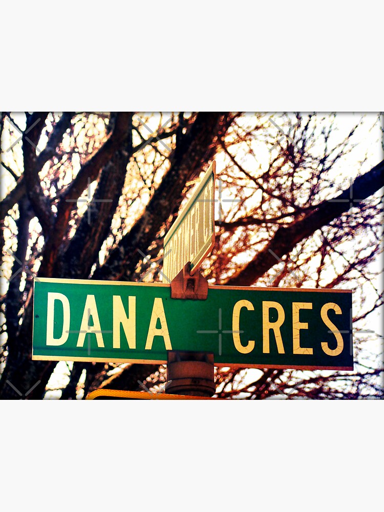 Dana, A gift for Dana, Dana street sign, Birthday gift for Dana by PicsByMi